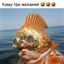 ���� Iga, ������, 86 ��� - ��������� 9 ���� 2026 � ������ ���� ����������