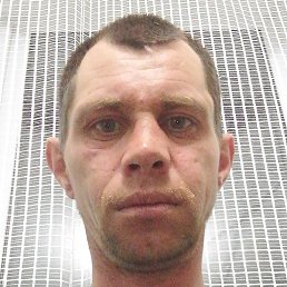 �������, ������, 36 ���