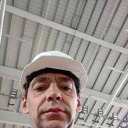 �������, ���������, 46 ���