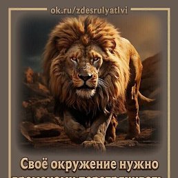 ������, ������, 44 ����