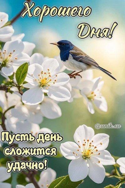   - 17  2025  13:20