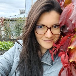 �����, 41 ���, ������������