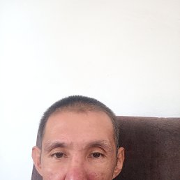 , 44, 