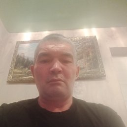 Ришат, 42, Челябинск