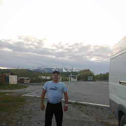 ������, 38 ���, ���������