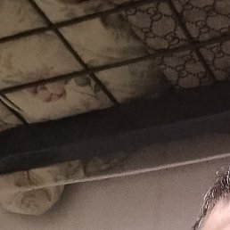 �����, �����������, 38 ���