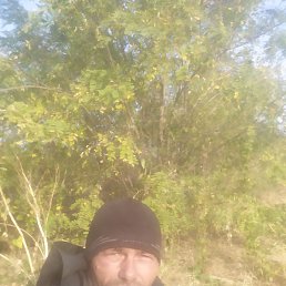 ��������., ������, 45 ���