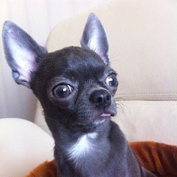 �����, ������, 50 ���