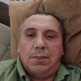 ��, ������, 41 ���