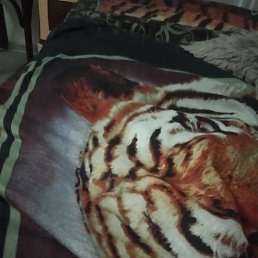 ����, �������, 46 ���