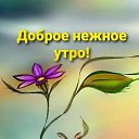 ���� ��������, ������, 51 ��� - ��������� 14 ������� 2025 � ������ ���� ����������