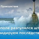 ���� ��������, �����������, 77 ��� - ��������� 13 ������� 2024 � ������ ������ ��������