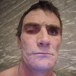 , 41, 
