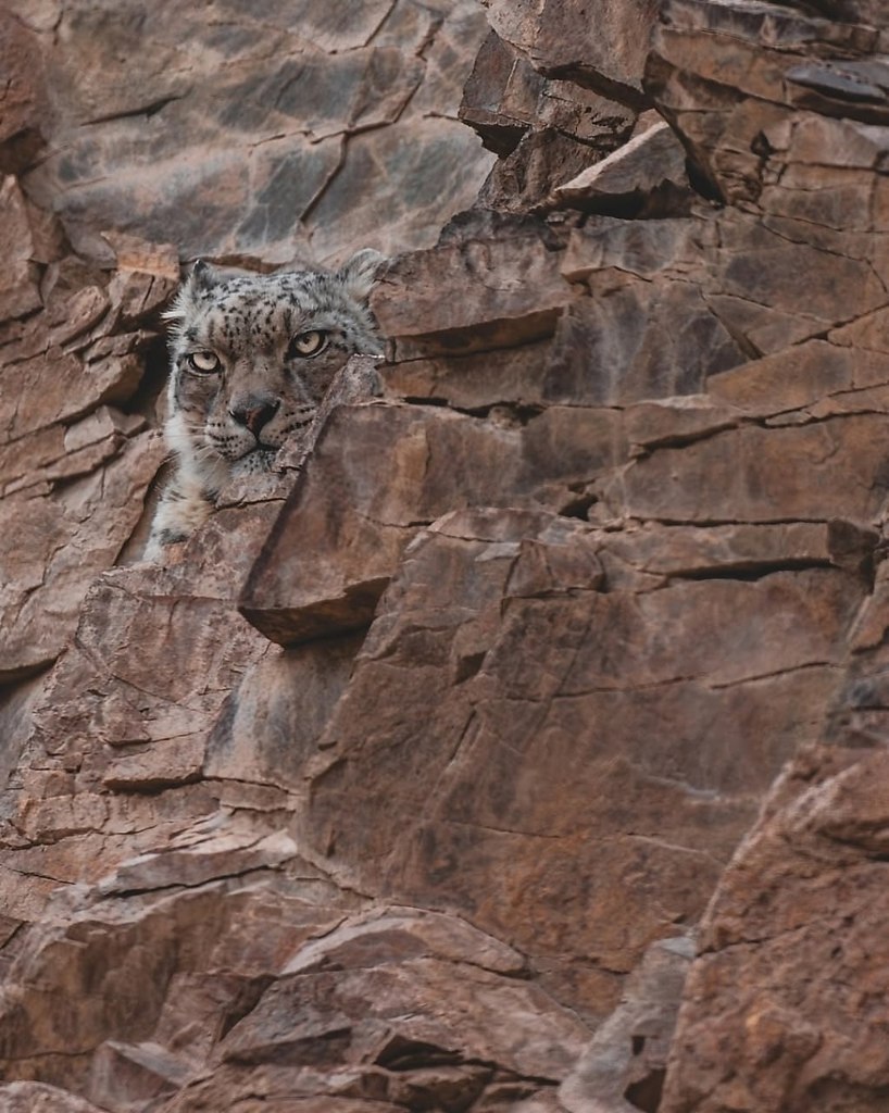   ,     - .      ,   ... - 3