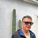 ���� ������, �����, 62 ���� - ��������� 20 ����� 2025 � ������ ���� ����������