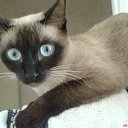 ���� Galka, ��������� - ��������� 19 ������ 2025 � ������ ���� ����������