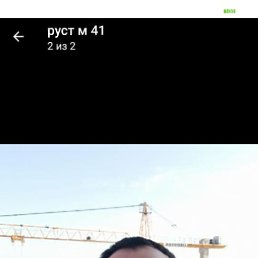 , 41, 