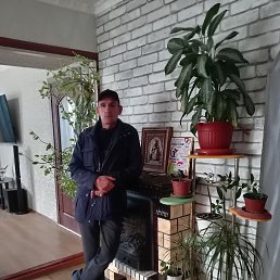 ���� �������, ����, 43 ���� - ��������� 27 ������ 2026