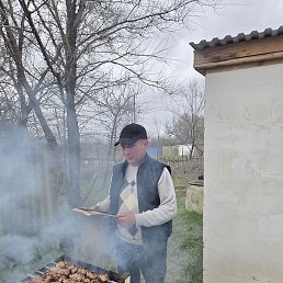 �����, ������, 51 ���