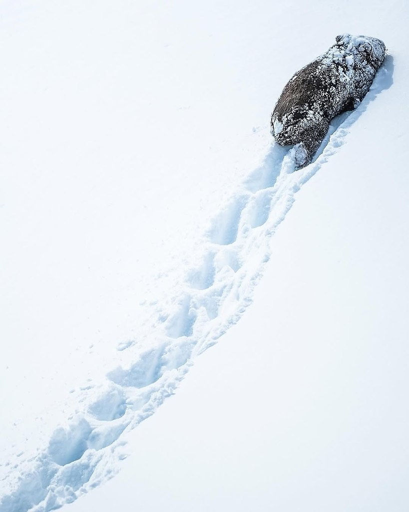   ,    ,   .     ... - 6