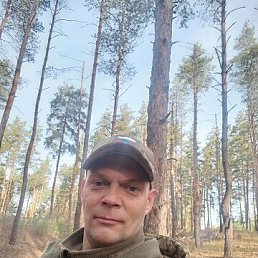 , 44, 
