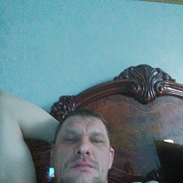 ���� ������, ������, 42 ���� - ��������� 11 ������ 2026