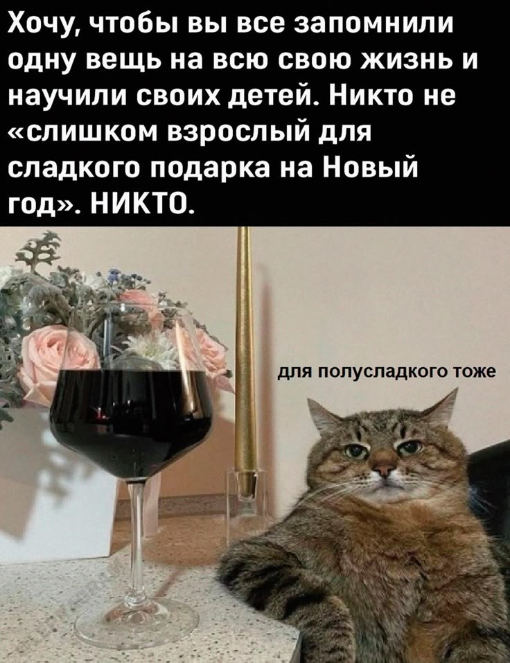 ��� ���� - 4 ������ 2026 � 18:04