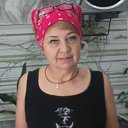 ���� �������, �����������, 53 ���� - ��������� 24 ������ 2024