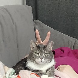 Vik, ������������, 18 ���