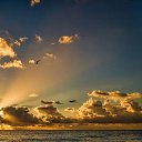 ���� �����, ����������� - ��������� 20 ������� 2025 � ������ ������ ��������