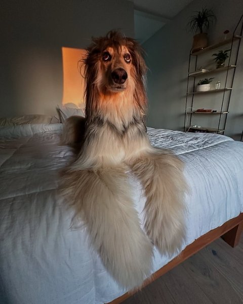     .  .  , ,    ... - 2