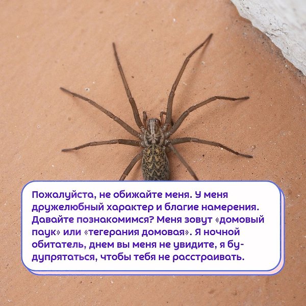 Ec�� ��y����� ������� ����, �����y����, �� ������ ����.