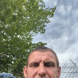  , 37, 