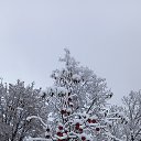  , , 41  -  13  2024