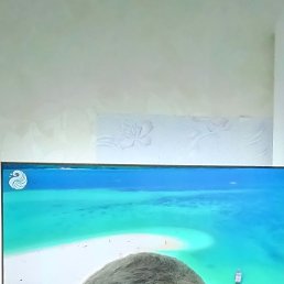 , 49, 