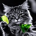 ���� ����, ����� - ��������� 29 ������ 2026 � ������ ������ ��������