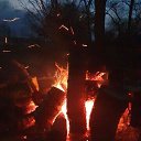 ���� �����, ����������, 43 ���� - ��������� 14 ������� 2025