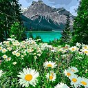 ���� ��������, ���������, 70 ��� - ��������� 15 ���� 2025 � ������ ���� ����������