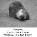  ***Victoria Viktorovna***, , 49  -  23  2025    