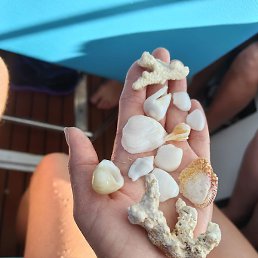 ����, ������, 39 ���