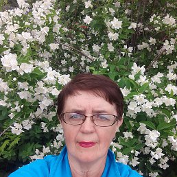 , 61, 