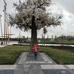  Abdulaziz Isamuxamedov, , 33  -  16  2024
