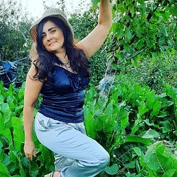 ���� ������, ����� - ��������� 20 ������� 2024