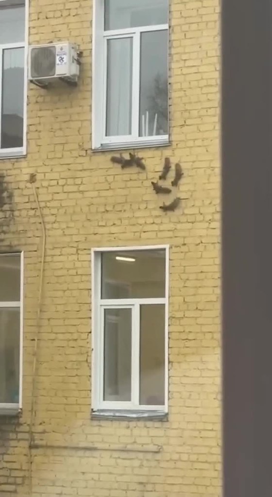 oo  a poa pooe pe ca: ecoo  a  acoo aa ...