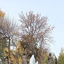  , , 60  -  16  2025    