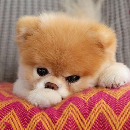 �����, ������ ��������, 30 ���