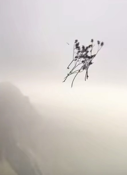     - 2