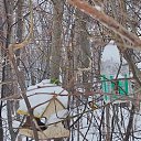 ���� �������, ������ - ��������� 13 ������� 2026 � ������ ������ ��������