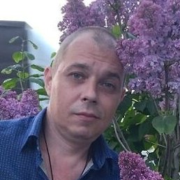 ������, �������, 42 ����