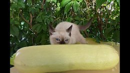 ������� � ���, ��������� ���� ������ �������!